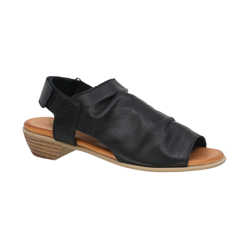 Everly Women's Vera Black