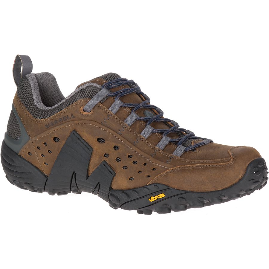 Merrell Men's Intercept Dark Earth