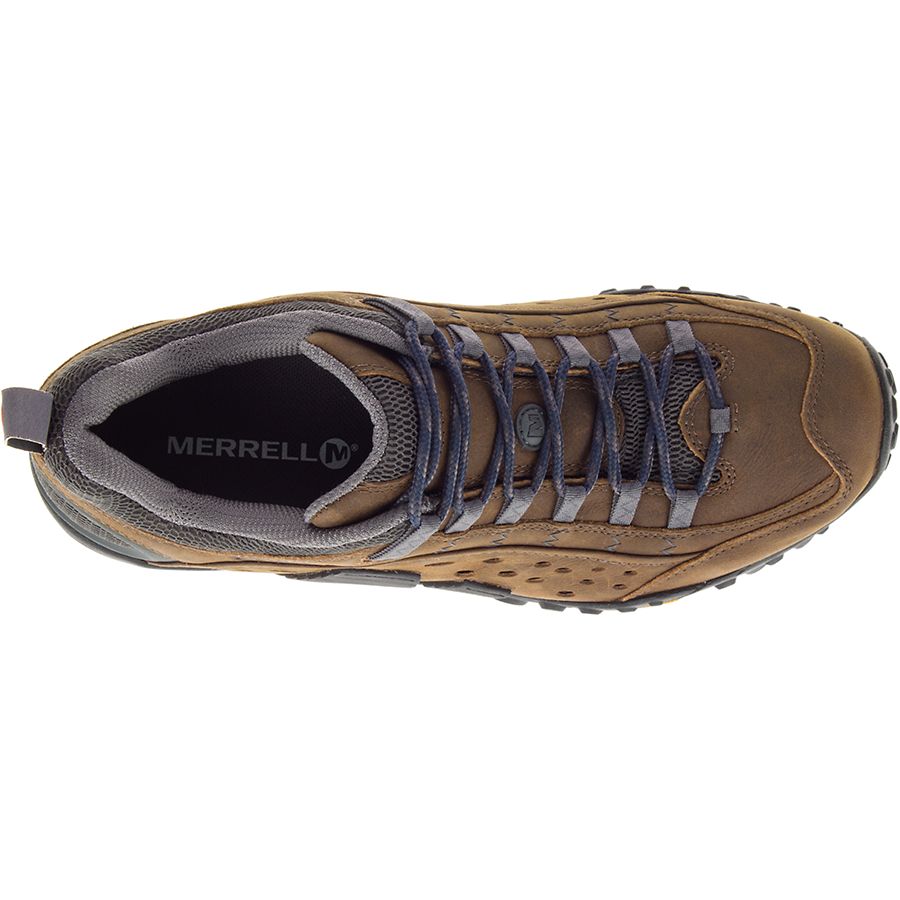 Merrell Men's Intercept Dark Earth