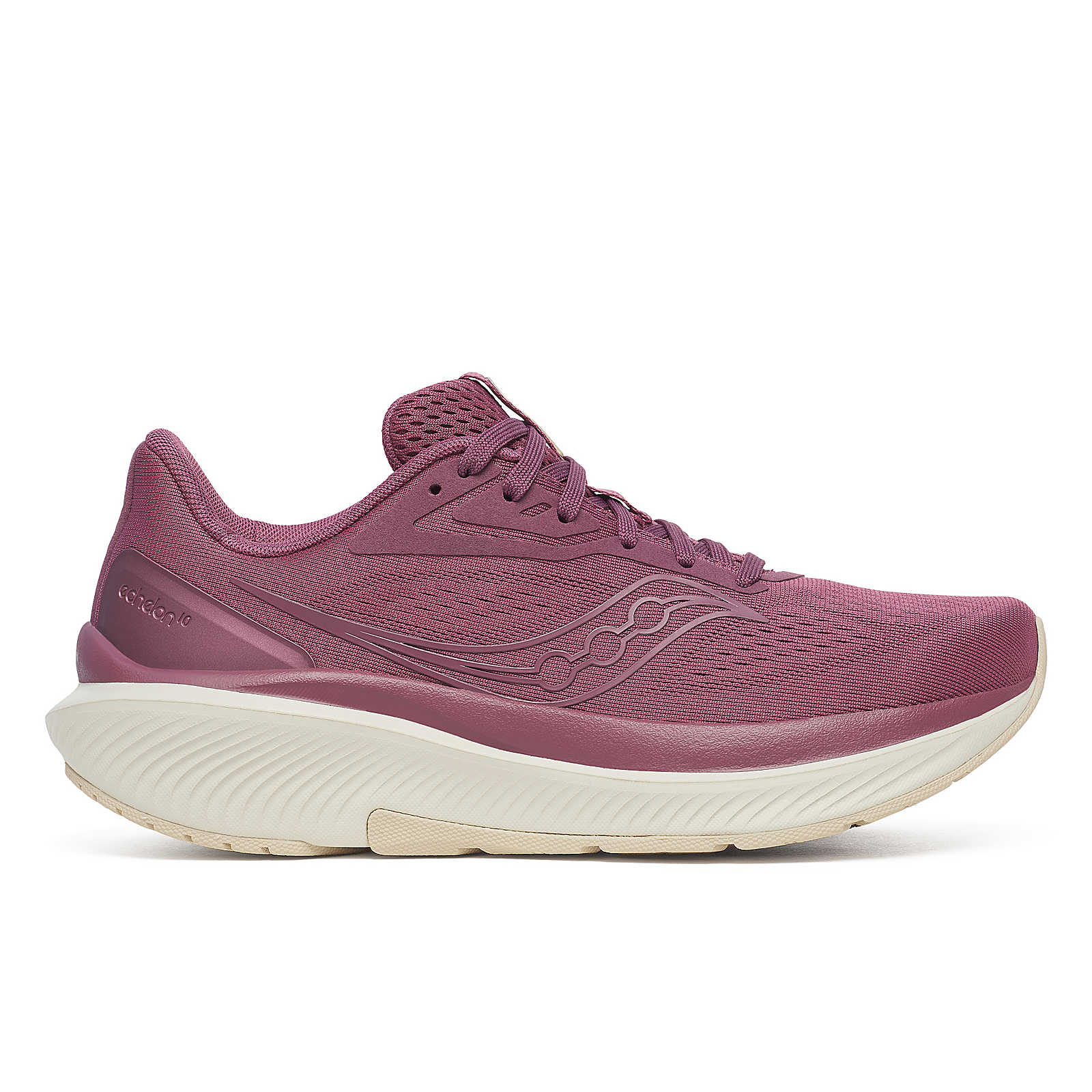 Saucony Women's Echelon 10 Terra/Almond