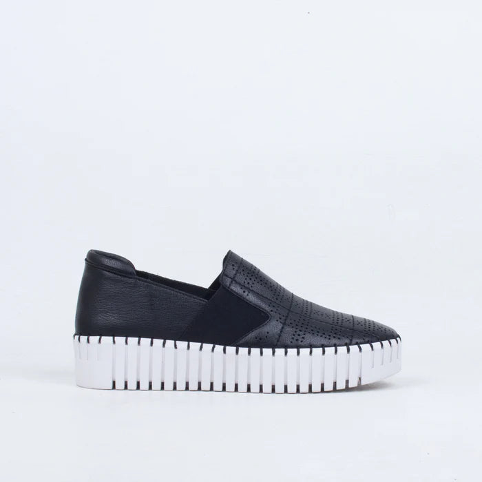 Django & Juliette Women's Brontey Black